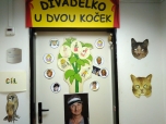 Česká televize